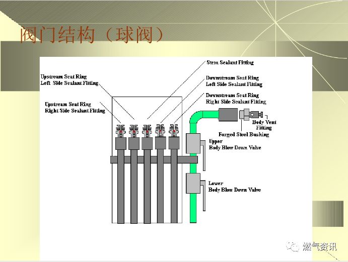 新奥门最新最快资料,科学依据解析_跨界版13.760
