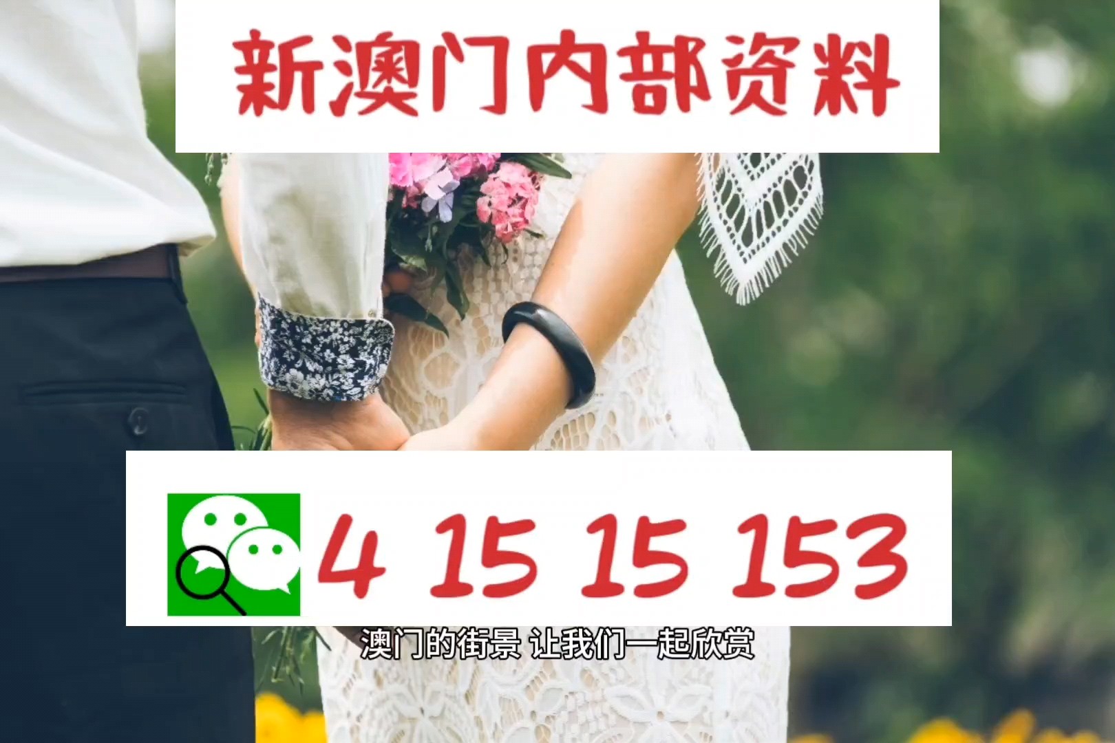 新奥新澳门原料免费资料,科学依据解析_瞬间版97.615