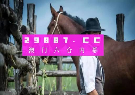 澳门资料库澳门码鞋一肖一码,互动性策略设计_进口版38.478
