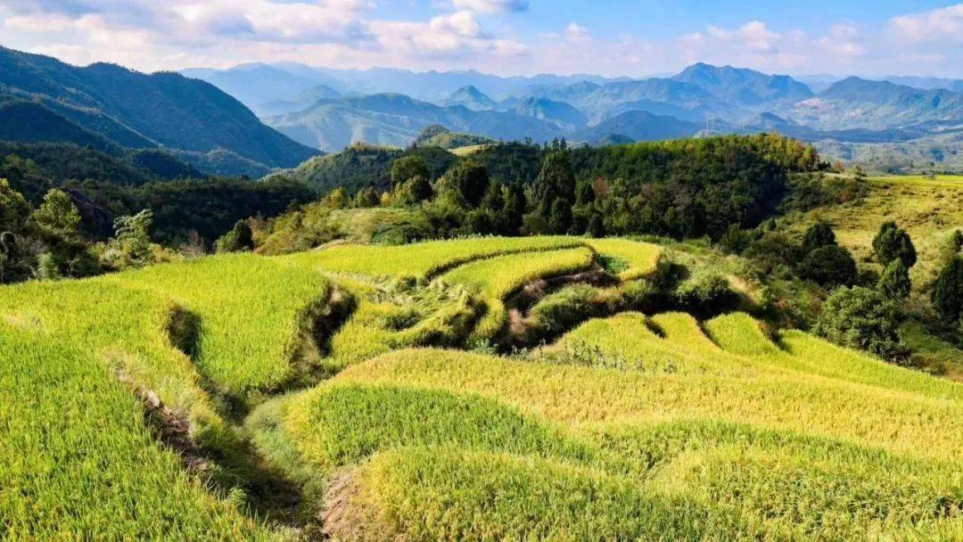 欣泰电气最新动态，自然美景探索之旅的心灵宁静体验