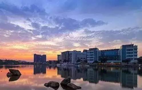 东阳老娘舅最新一期揭秘，背景、事件与深远影响