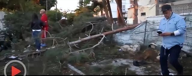加沙医院遭袭引发ICU儿童死亡事件，深度分析与观点阐述