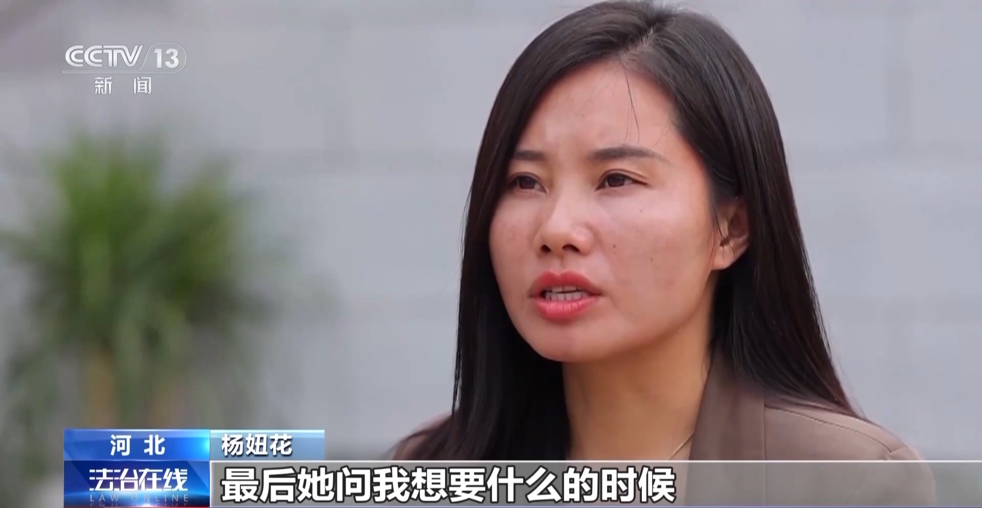 杨妞花