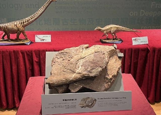 香港首次发现恐龙化石，探险之旅揭示史前奥秘