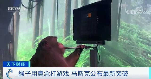 马斯克百万美元奖励计划的法律解析与探讨，是否涉及违法行为？