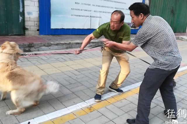 公园座椅下的纠纷，老太晨练受伤索赔，冒险之旅引发思考关于自然疗愈与内心平静的力量