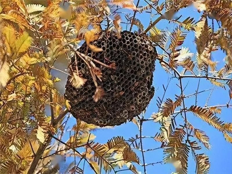 计算机信息技术 第1395页