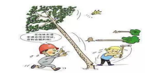苏州聚赢 第1386页