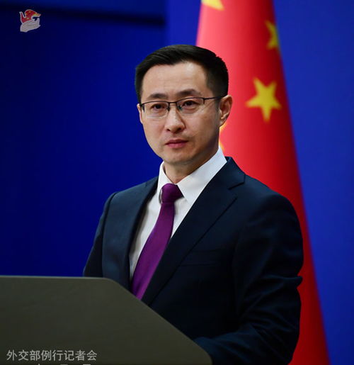 大众公司高管吸毒被遣送出境事件解析与应对指南，从初学到进阶的全面指南