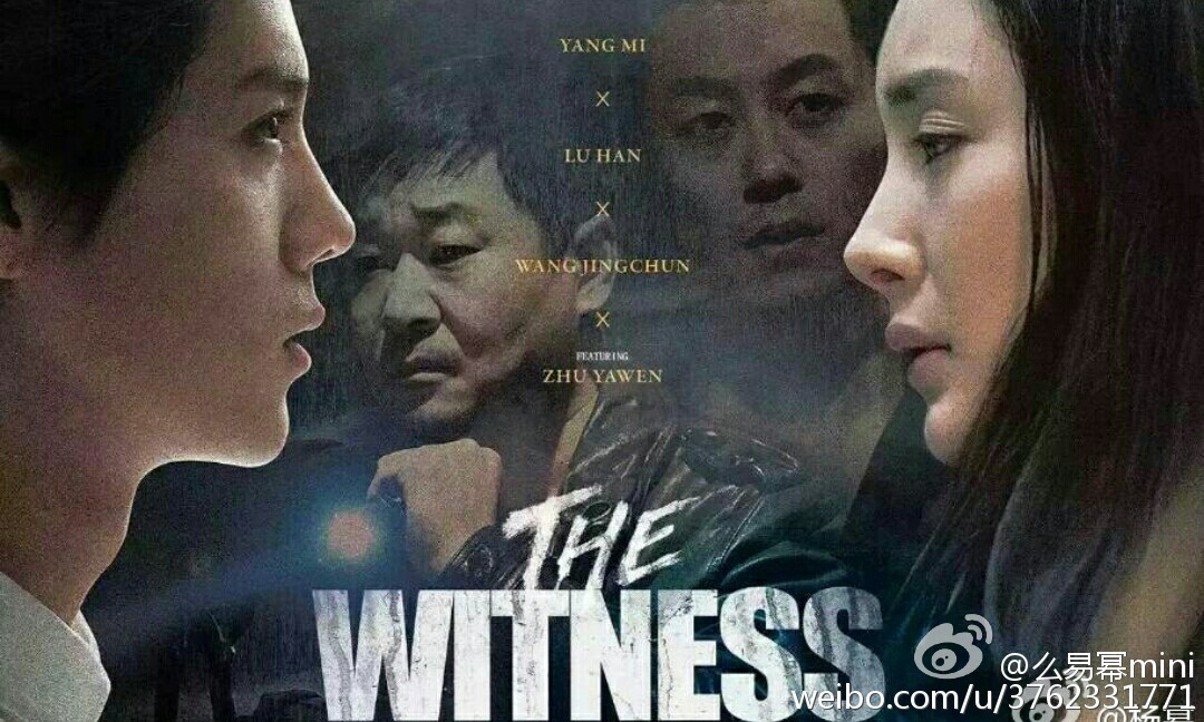 韩国电影证人，深度剖析与观点阐述