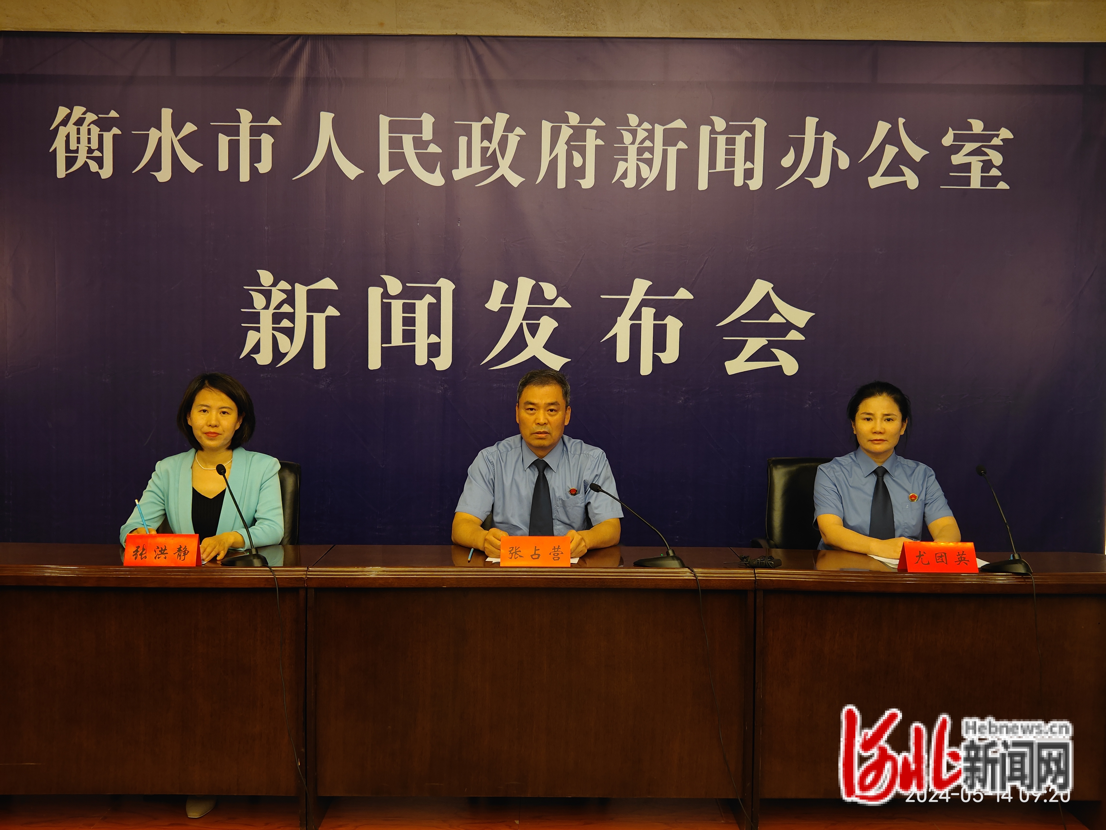 衡水最新案件深度论述