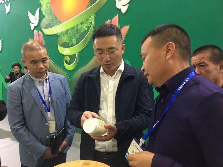 最新高考听力，梦想与友情的交织之旅