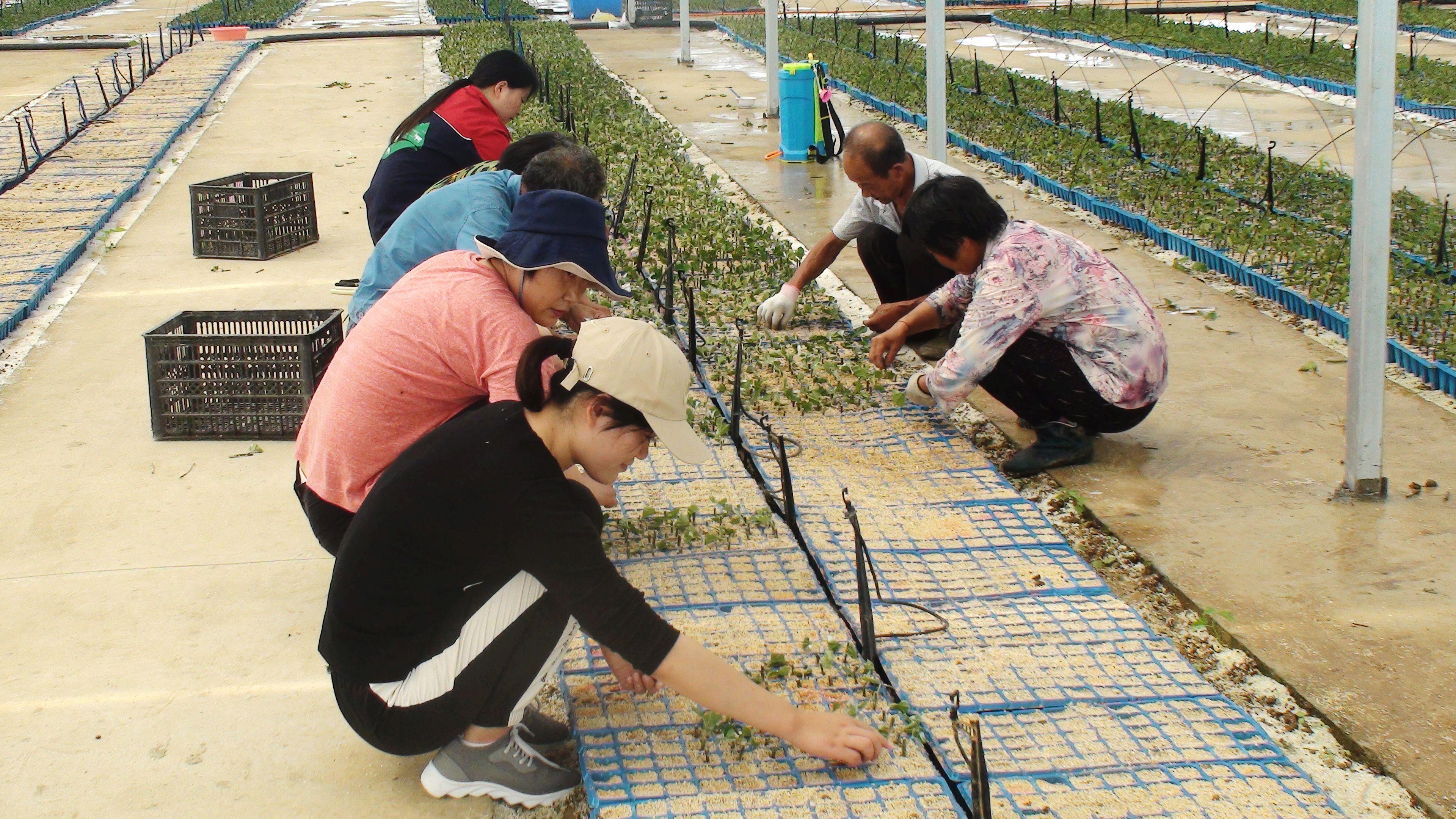 霍邱最新新闻报道