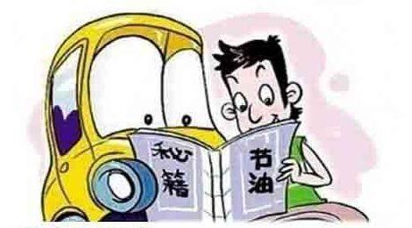 最新刀油贼的日常趣事与友情纽带揭秘