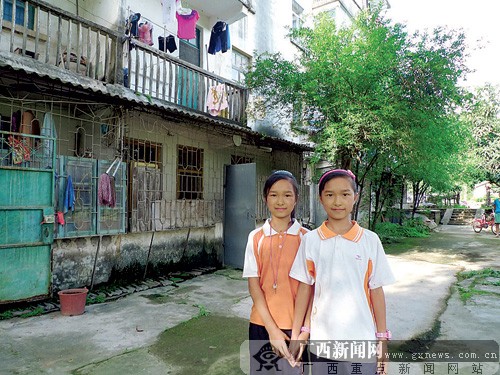 宾阳最新新闻报道