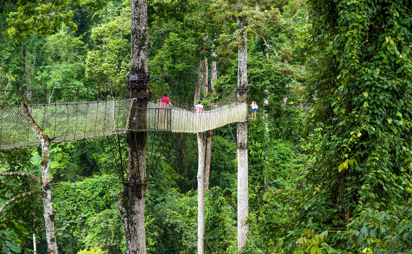 海湾雨林最新房价探索，自然美景之旅与内心宁静的追求