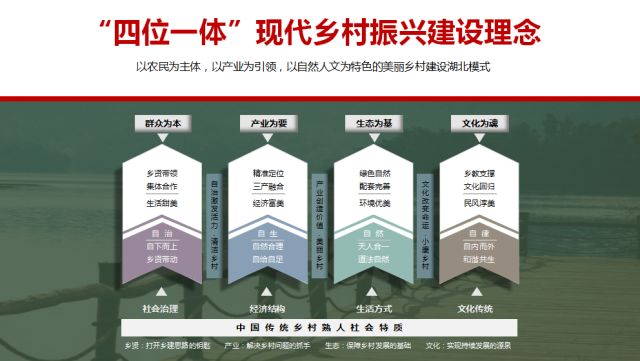 江津最新干部任免动态，深度分析与观点阐述