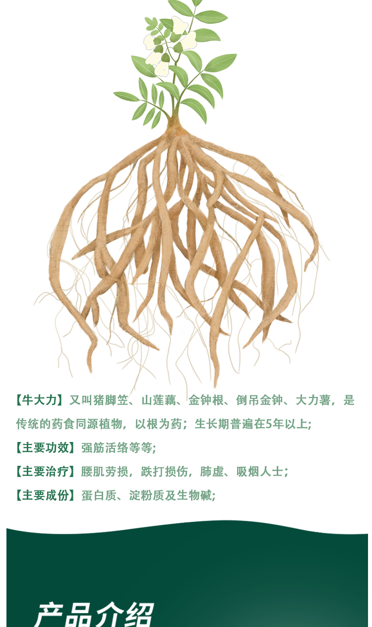 鸡大力最新科技产品介绍及评测