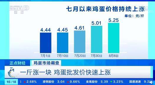 今日蛋价概览，市场走势下的多元观点分析