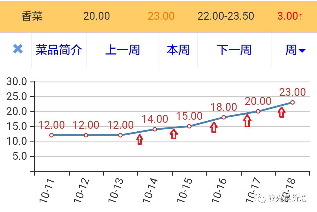 山东香菜价格最新动态更新