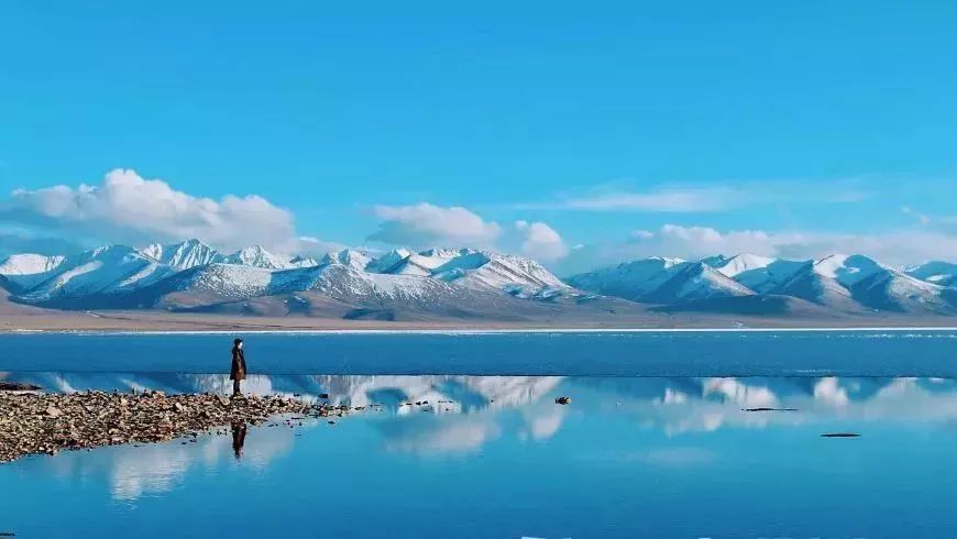 科迪亚克最新动态，自然探索之旅，追寻内心平和与宁静的旅程