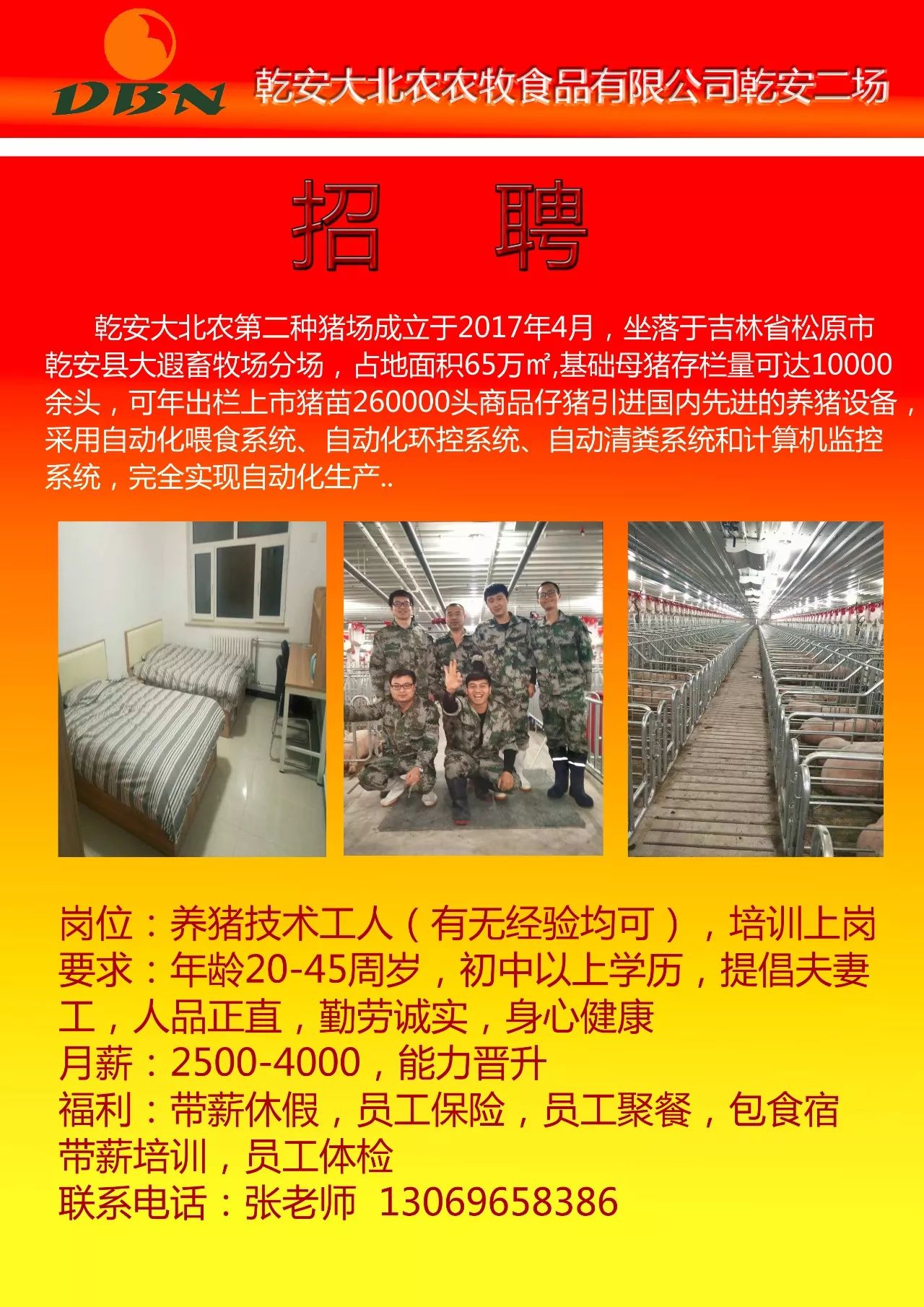 大邱庄最新招聘信息汇总发布✨