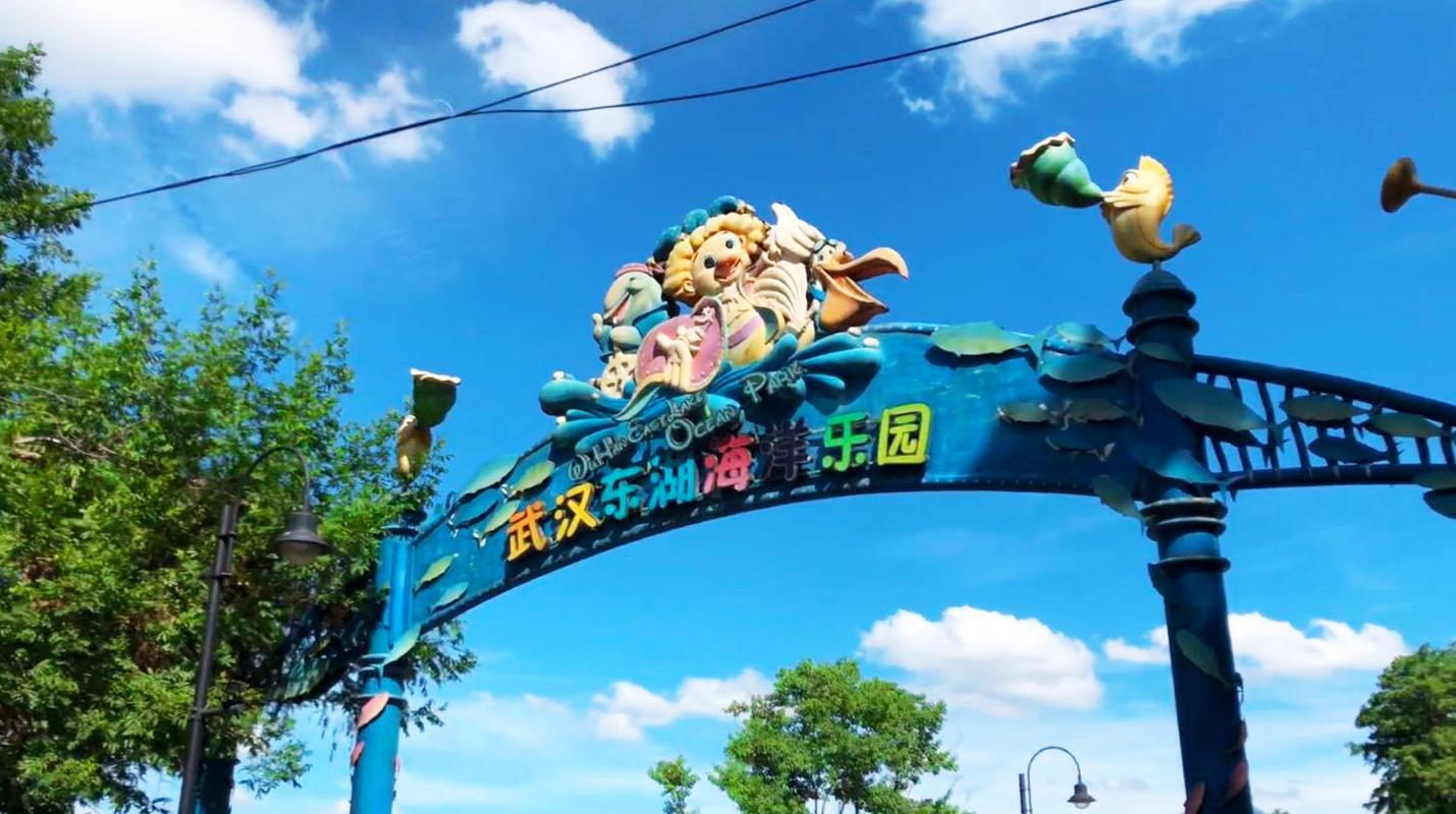 上海地铁线路图最新版，探索内心的旅行之路